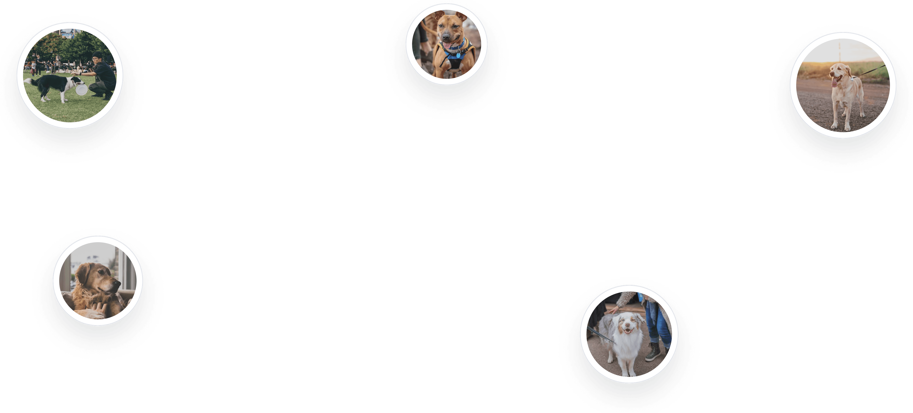 floating logos